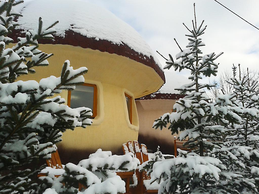 Art Apartments Minic Kolašin Kültér fotó