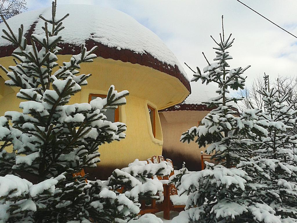 Art Apartments Minic Kolašin Kültér fotó